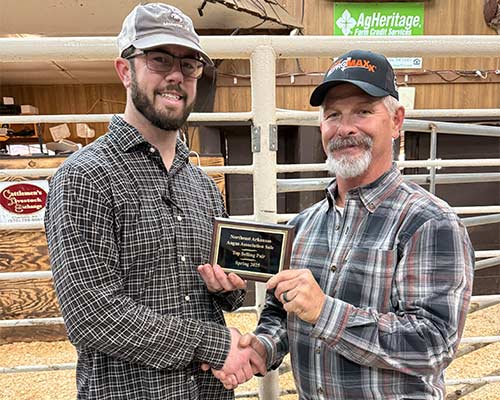 Top Selling Fall Pair